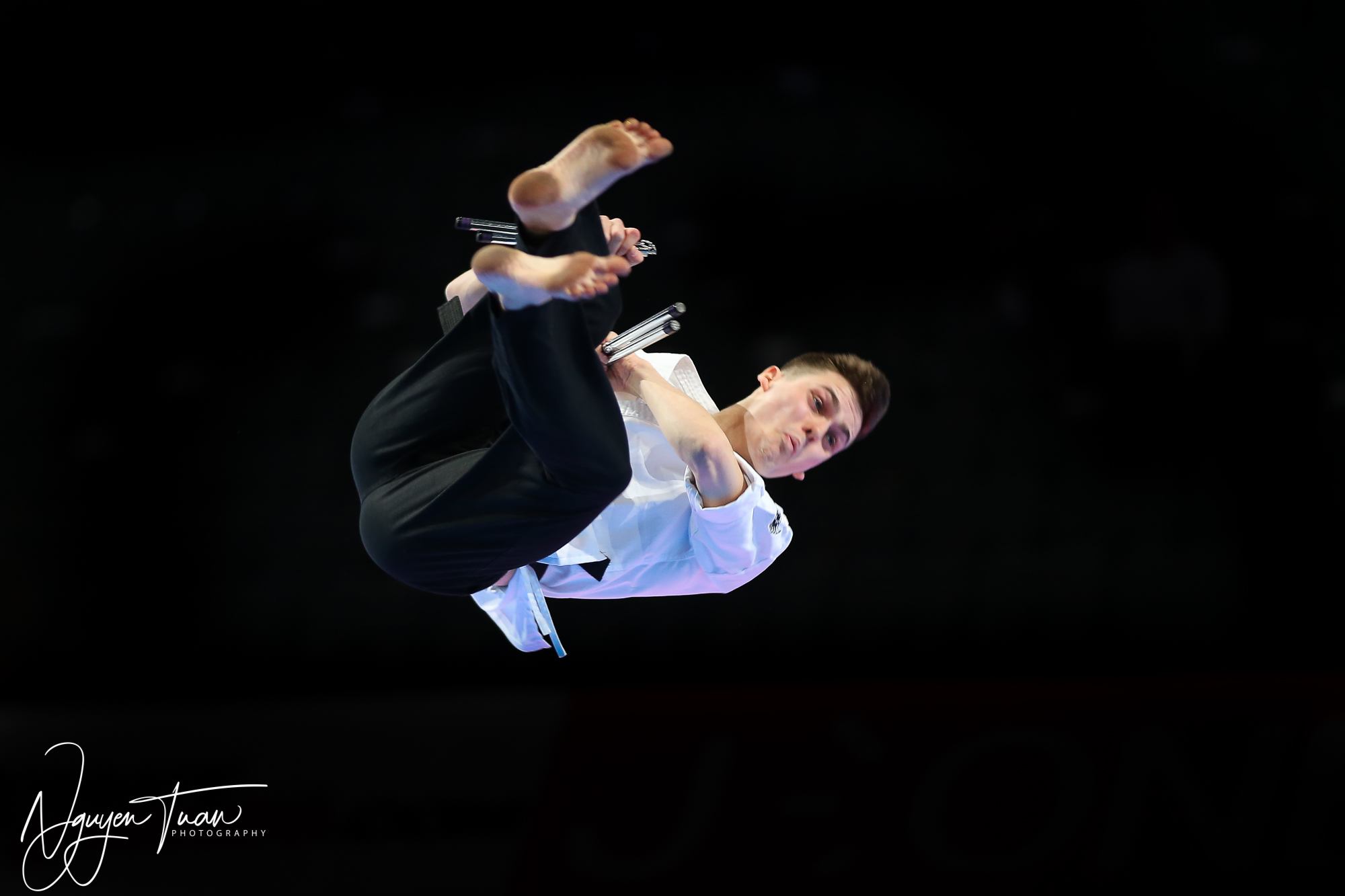 20190324 Festival des Arts Martiaux 0215